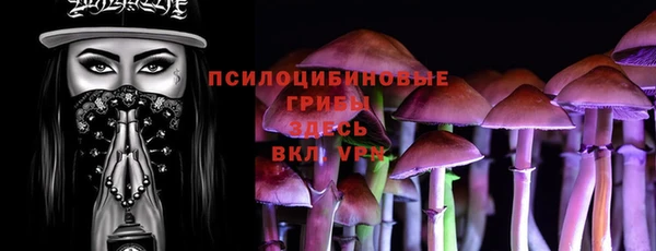 винт Алексеевка