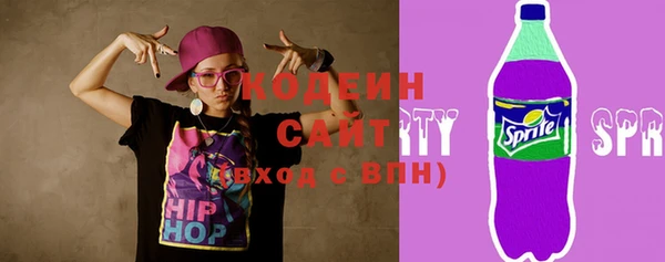 соль ск Няндома