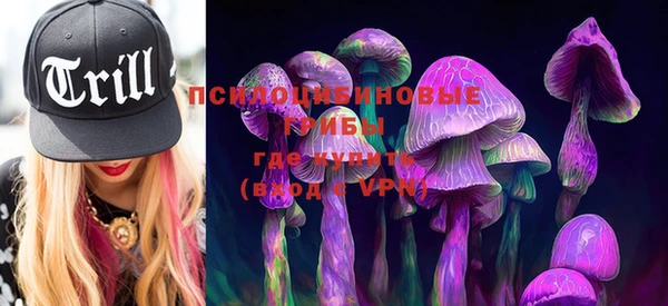 PSILOCYBIN Армянск